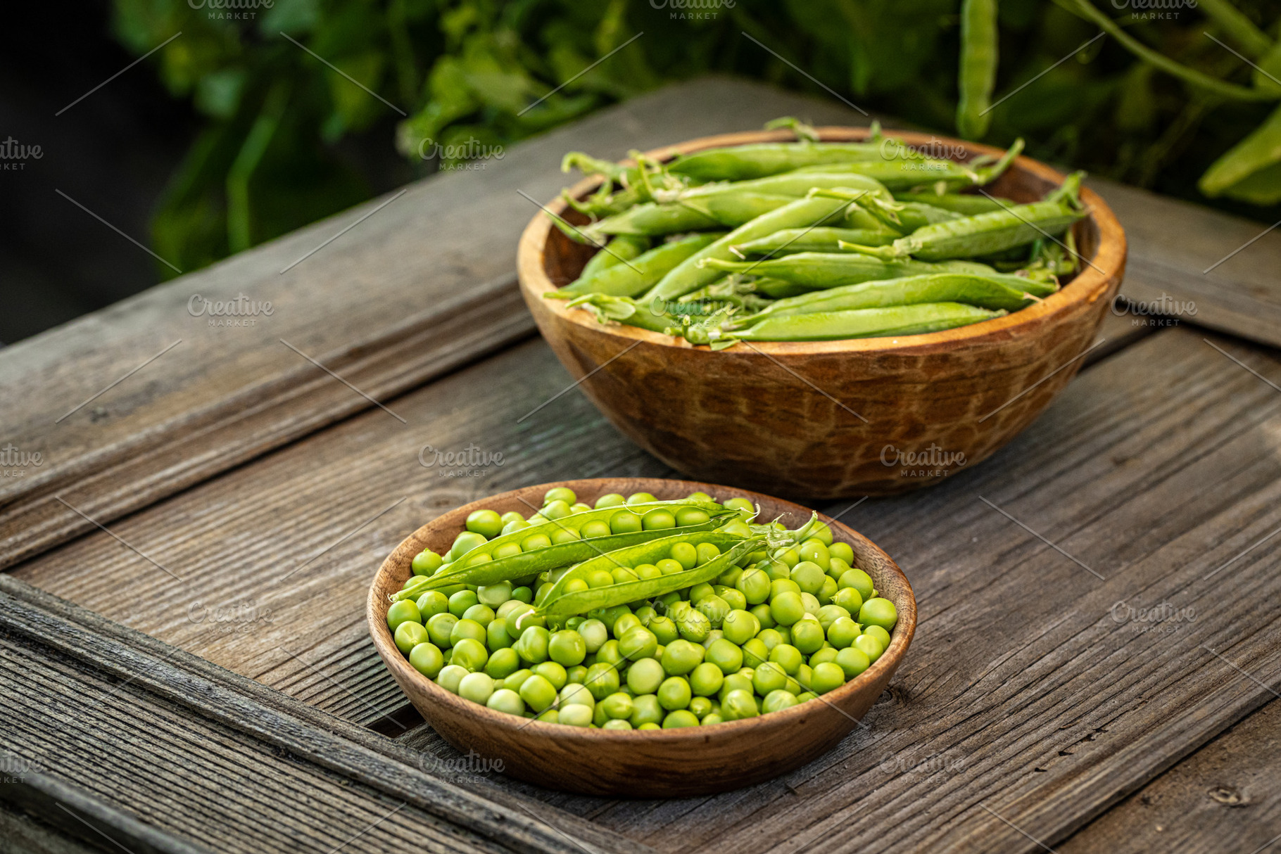 Freshly harvested green peas, a Photo by Grafvision photography