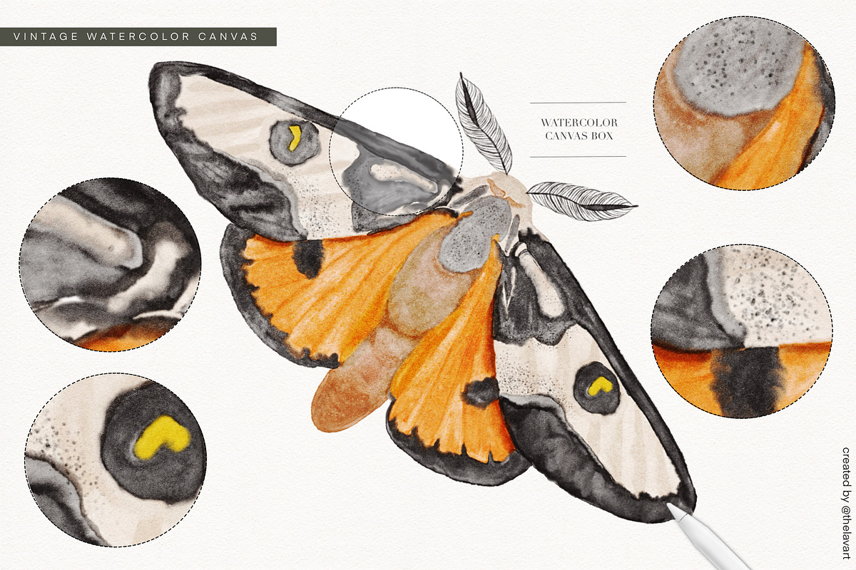 Watercolor Canvas Box for Procreate, a Brush Add-On by Liquid Amethyst Art (Photo 5 of 9)