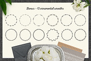 80 Decorative Borders, a Decorative Illustration by Elena Paletskaya (Thumbnail 4 of 4)
