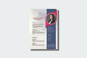 Modern CV Template, a Resume Template by dulchaer29