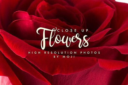 ROMANTIC,CLOSE UP FLOWERS set:2