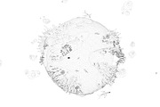 Cartoon Lowpoly Earth Planet 2 UVW, an Environmental 3D Model by Anton Moek (Thumbnail 6 of 7)