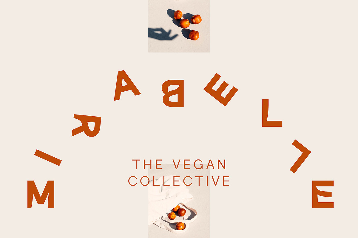 Karl – Cool Sans w Unique Alternates, a Sans Serif Font by Local Desk Designstudio (Photo 21 of 28)