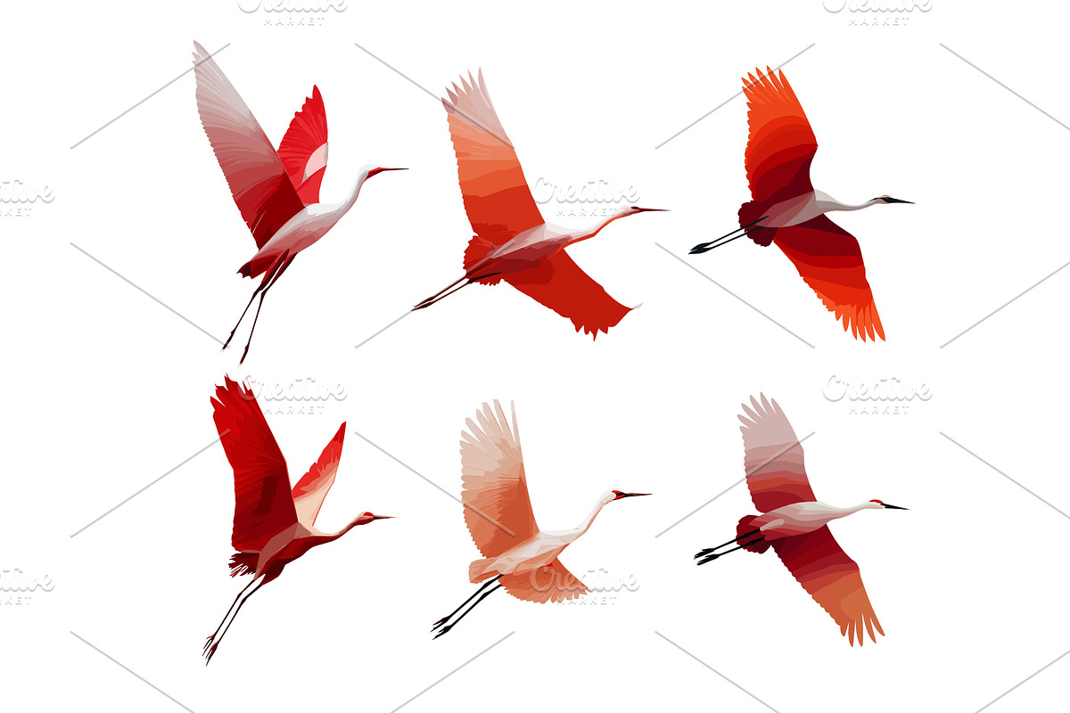 Birds with open wings cartoon vector, an Animal Illustration by Onyx