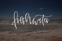 Freshwater