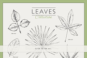 Dotwork Flowers & Leaves, a Decorative Illustration by nordicworker (Thumbnail 5 of 5)