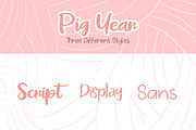 Pig Year 3 Font, a Script Font by khurasan (Thumbnail 5 of 9)