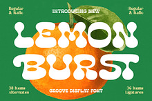 Lemon Burst Retro Groovy Font