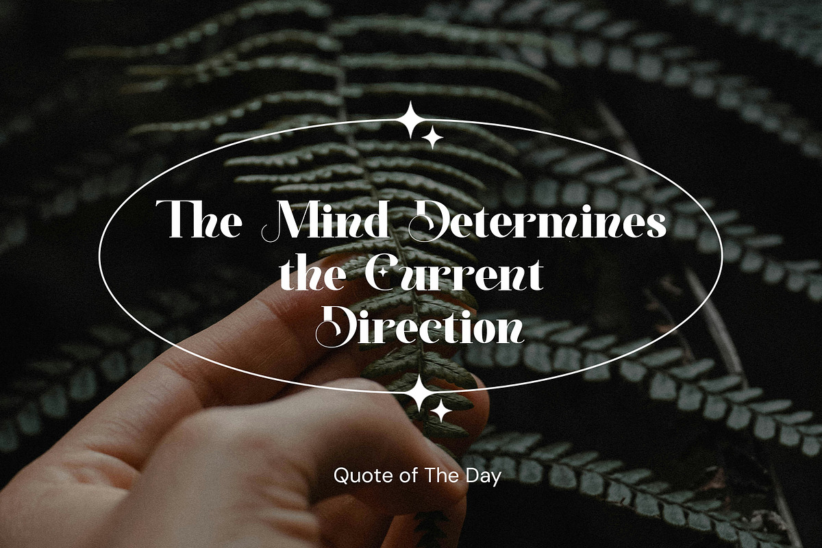 Aglisa Serif Font, a Serif Font by Ermedia Studio (Photo 7 of 10)
