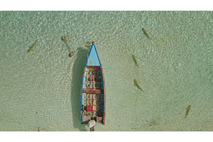 Fishing boat moored in shallow water, an Animal Photo by Goinyk