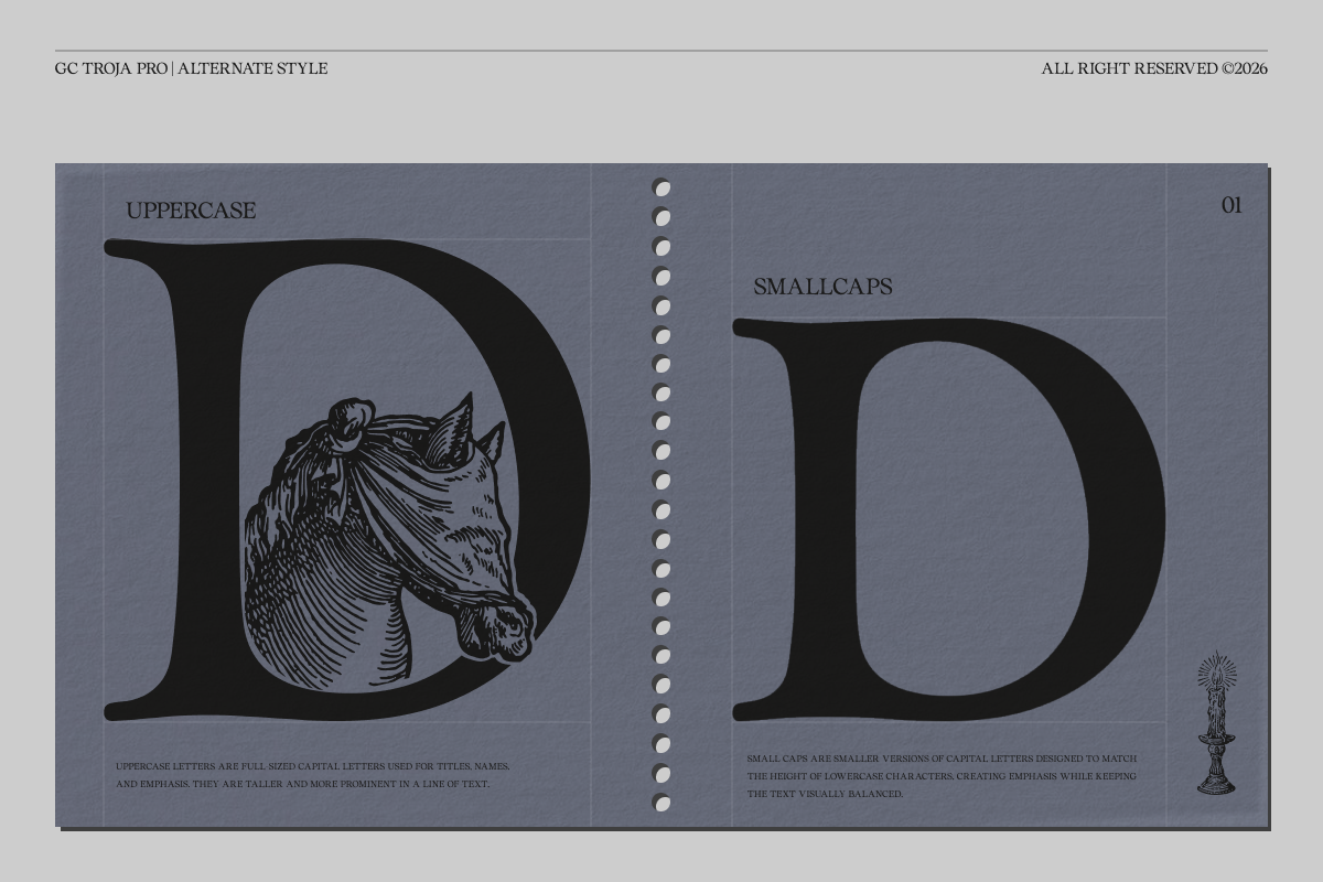 GC Troja Pro - Classic Retro Serif, a Serif Font by Glyphonic (Photo 4 of 15)