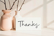 Queen Lorient Font, a Script Font by Timurtype (Thumbnail 7 of 7)