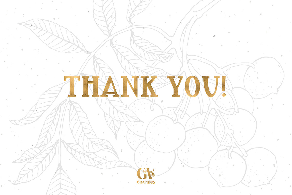 Branches, Leaves and Berries Vol. 2, a Seasonal Illustration by GVGraphics (Photo 12 of 12)
