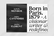 Slingera - Display Serif, a Serif Font by Attract Studio (Thumbnail 9 of 17)