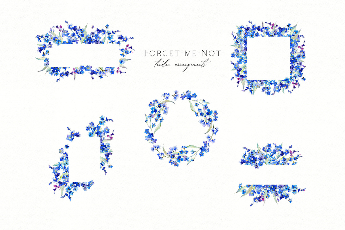 Forget-me-not watercolor, an Illustration by Olga Koelsch (Photo 3 of 7)