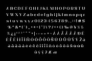 Trotty Elegant Serif Font Family, a Serif Font by Artiveko (Thumbnail 2 of 8)