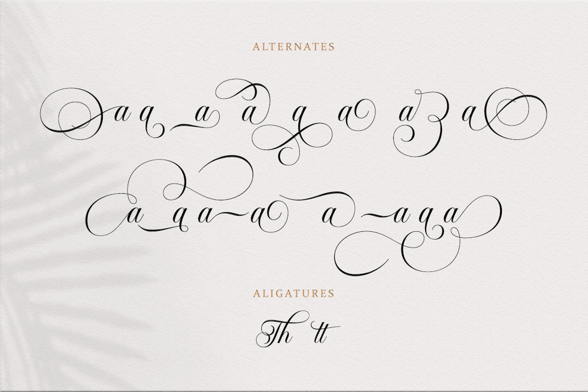 Bailenson, a Script Font by Pista Mova (Photo 9 of 11)
