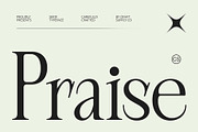 CS Praise – Elegant Font, a Serif Font by Craft Supply Co. (Thumbnail 1 of 8)