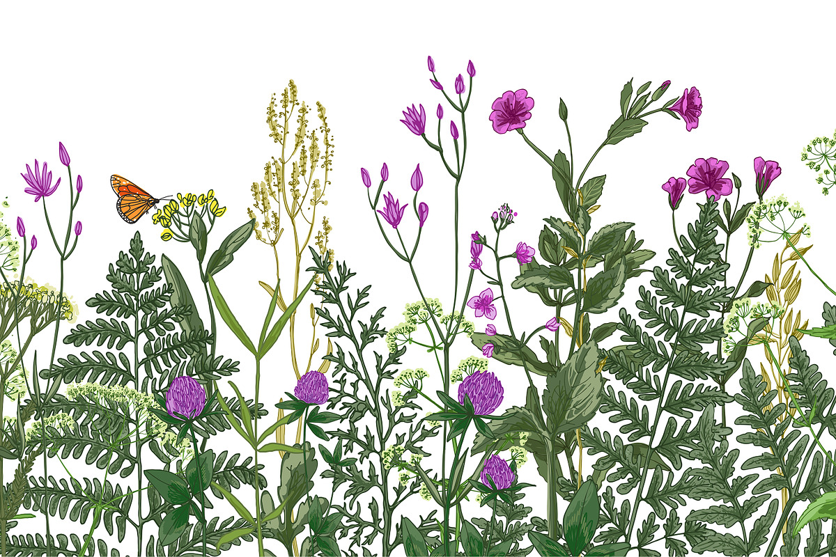 Wild herbs. Wildflowers in summer, an Illustration by irina.vaneeva (Photo 4 of 5)