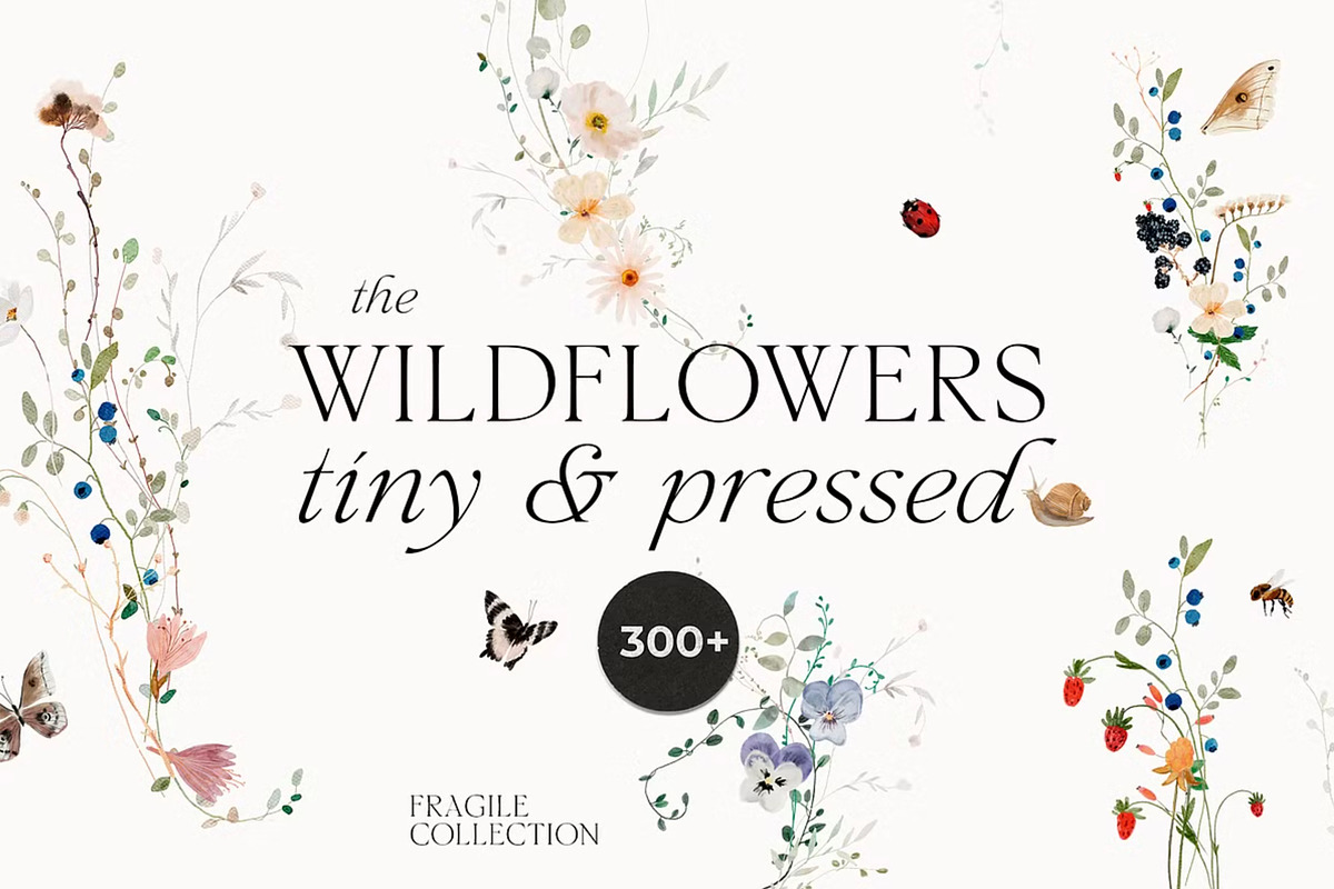 Watercolor Wildflowers Bundle, a Decorative Illustration by Lana Elanor (Photo 4 of 9)