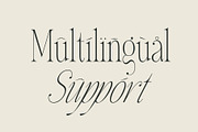 Gladysh | Elegant Condensed Serif, a Serif Font by Sealoung (Thumbnail 14 of 15)
