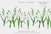 Snowdrop Birth Month Flower Clipart, an Illustration by Ksenia Shmakova (Thumbnail 7 of 9)