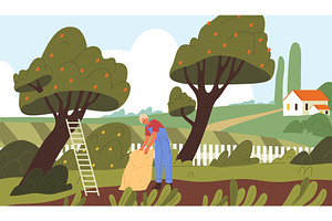 Gardener or farmer picking apples, an Illustration by Elegant Solution