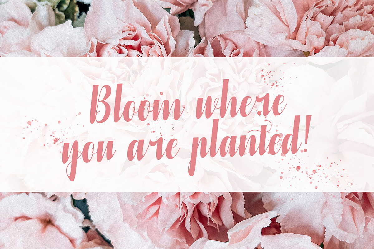 Azteciya - Handwritten Font, a Script Font by StringLabs (Photo 9 of 12)