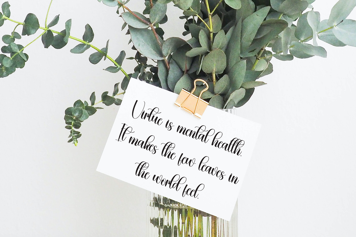Sailing | Script Font, a Handwritten Font by Scratchones (Photo 3 of 9)