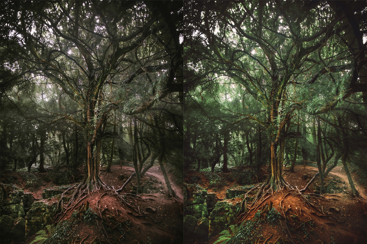Spring Photoshop Actions, an Action Add-On by Bato (Photo 12 of 16)