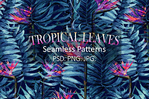Tropical Leaves & Seamless Pattern