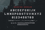 Bushfire - 4 Font Family, a Slab Serif Font by Greg Nicholls (Thumbnail 5 of 8)