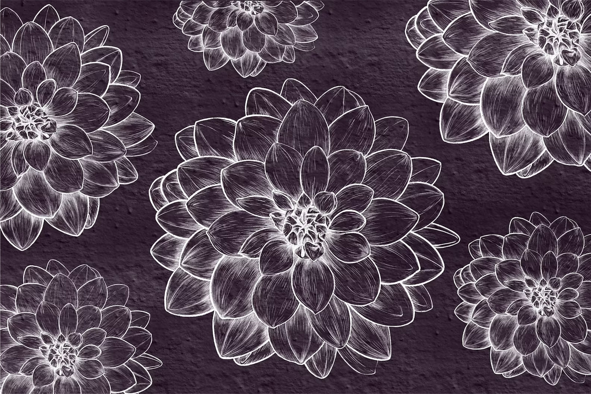 Drawing of DAHLIA Flower Line Art, a Decorative Illustration by Sense Library (Photo 3 of 5)