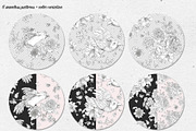 Regency flowers hand-drawn clipart, a Decorative Illustration by Depiano (Thumbnail 7 of 10)