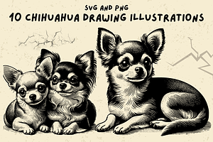 Vintage Chihuahua Drawing Bundle SVG, an Animal Illustration by Ray Crimson