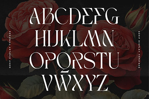 Bagek - Modern Display Serif