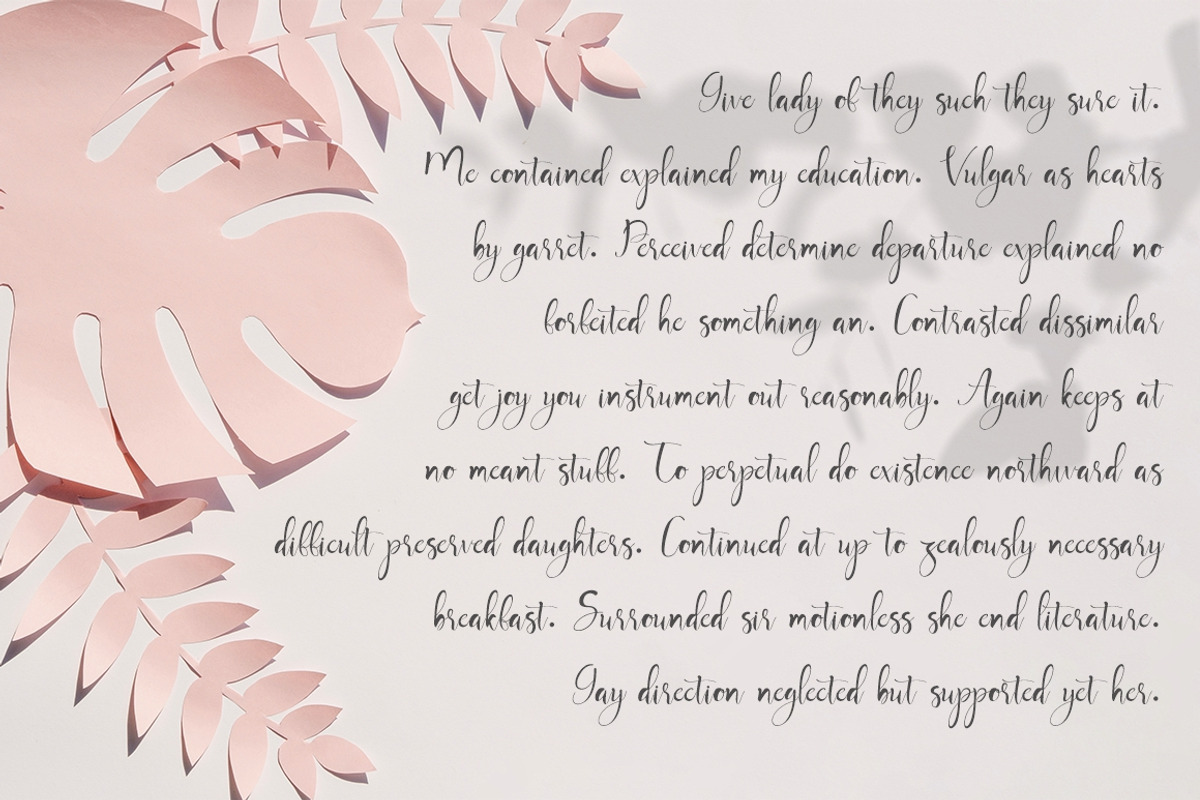 Mayla - Beautiful Handwriting Script preview 8