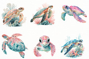 watercolor turtle Clipart, an Illustration by Designworld (Thumbnail 2 of 8)