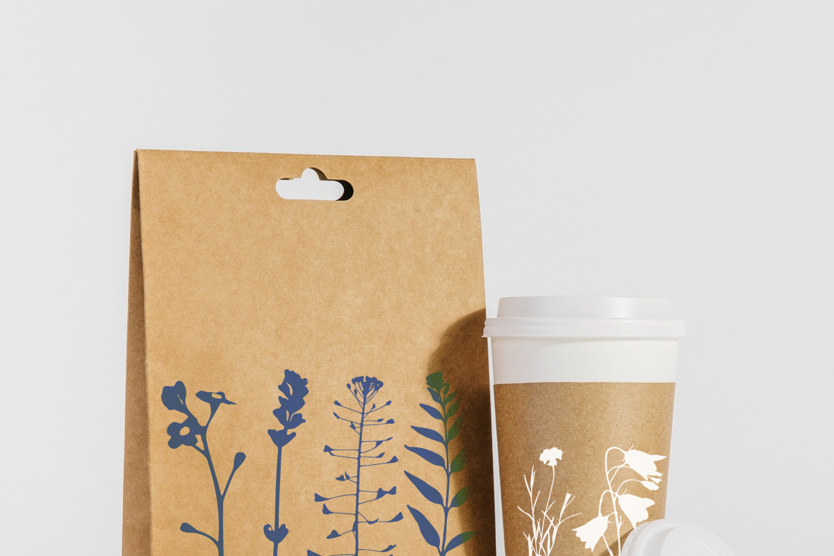 Botanical bundle - svg, png, a Decorative Illustration by Watercolor_Vector Graphic (Photo 4 of 26)