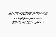 Normal B, a Script Font by TKDoodle (Thumbnail 5 of 8)