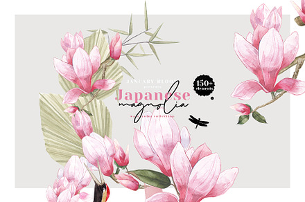 Magnolia & Cranes | Tropical Japan