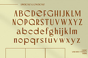 Remanku Elegant Serif, a Serif Font by Luna Shop (Thumbnail 2 of 10)