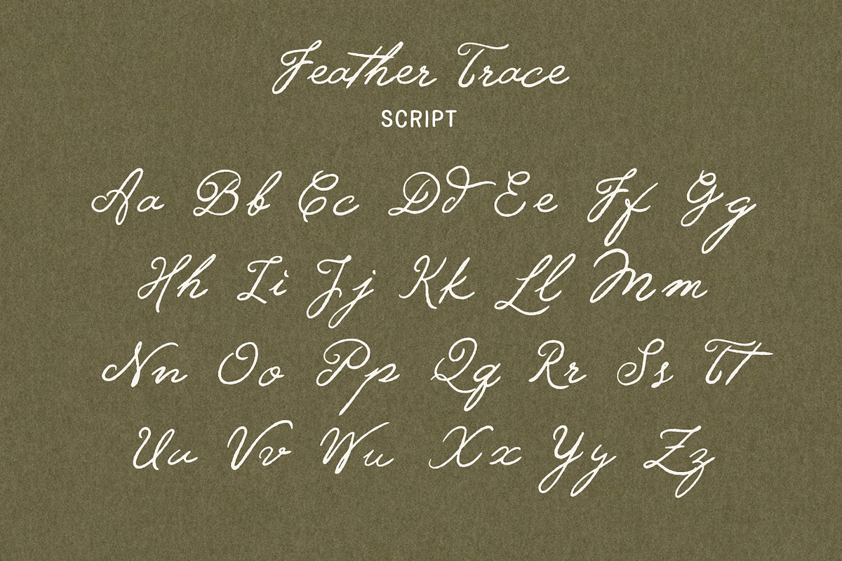 Feather Trace - Organic Font Duo, a Handwritten Font by Davide Bassu (Photo 10 of 11)