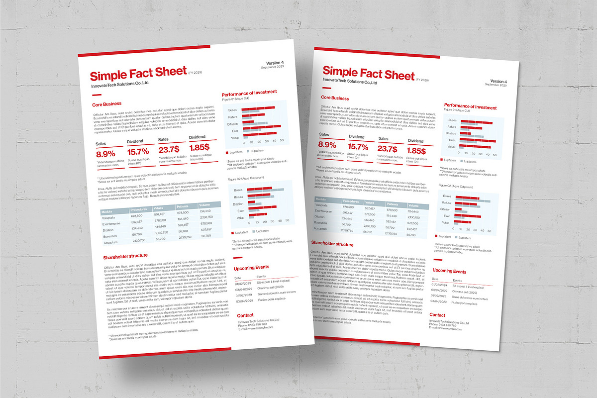 Simple Fact Sheet, a Flyer Template by BrandPacks (Photo 3 of 4)