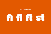 Ghifiuk - Bold Display Font, a Sans Serif Font by QR Design Studio (Thumbnail 8 of 13)