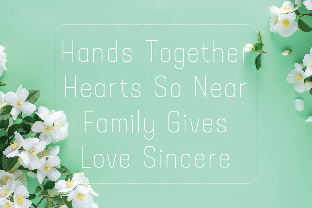 Barleto-A true single line, a Sans Serif Font by Lemon Studio Type (Photo 4 of 5)