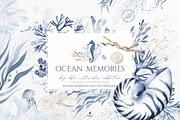 Ocean Memories Underwater Collection, an Animal Illustration by beehouse studio (Thumbnail 1 of 12)