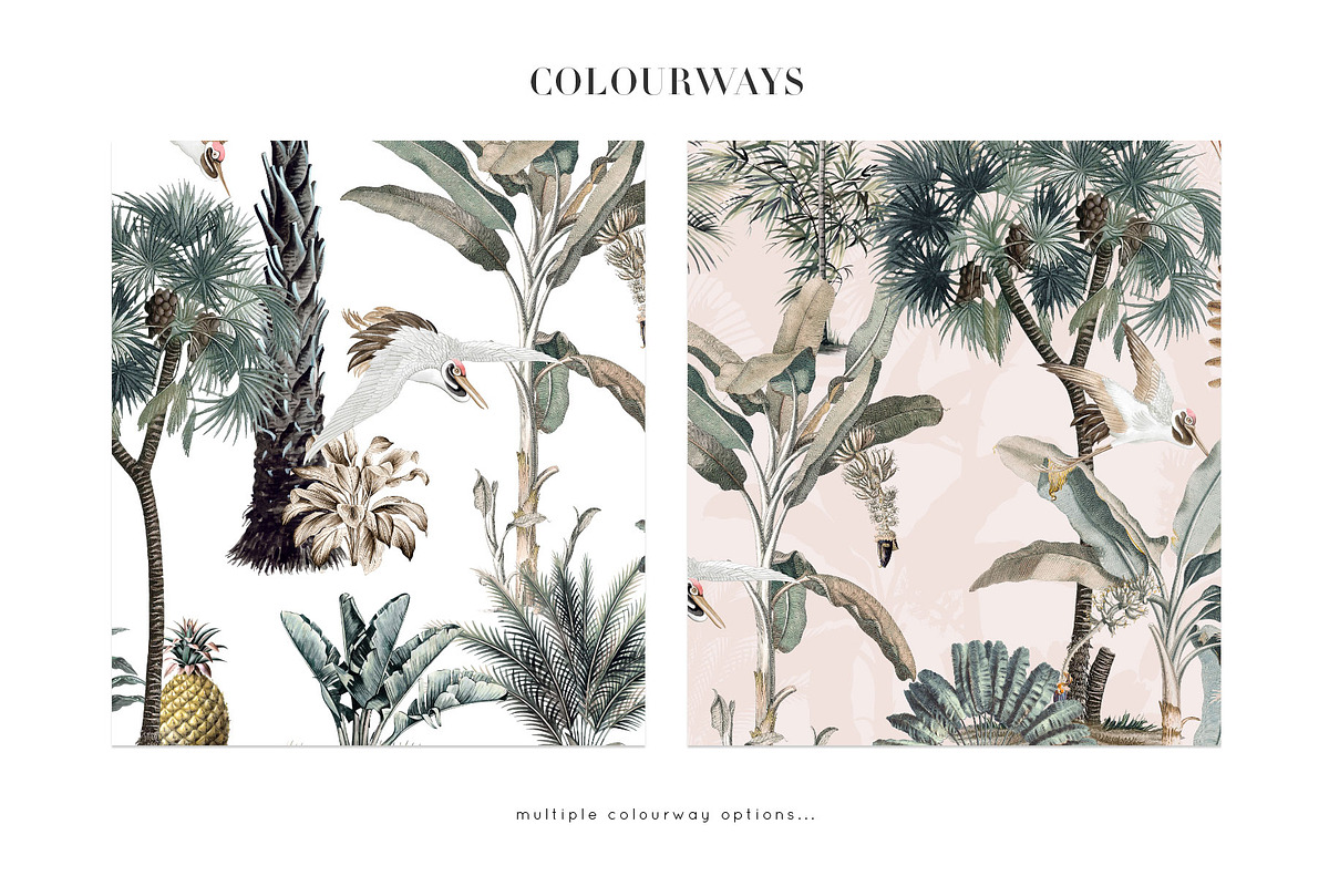 Exotic, Elegant Tropical Prints, a Pattern Graphic by Pink Linen (Photo 4 of 12)