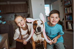 Boy, girl and dog wearing bunny ear, an Animal Photo by HalfPoint