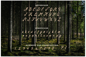 Cursive Hand Written Font